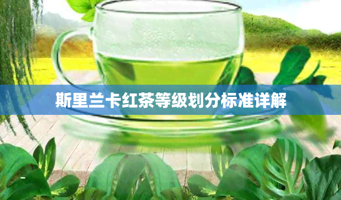 斯里兰卡红茶等级划分标准详解