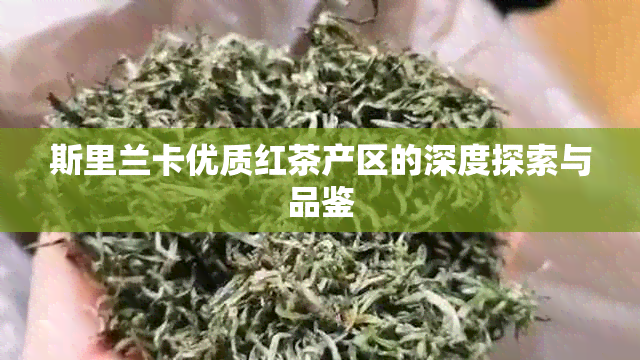 斯里兰卡优质红茶产区的深度探索与品鉴