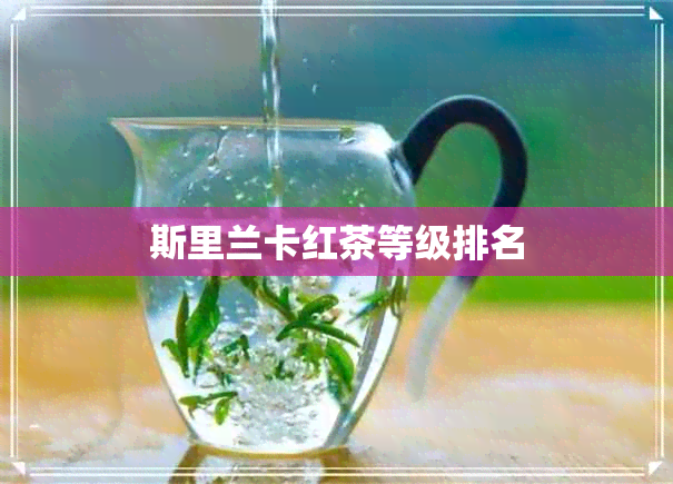 斯里兰卡红茶等级排名