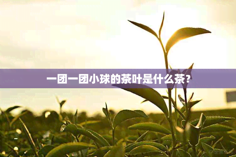 一团一团小球的茶叶是什么茶？