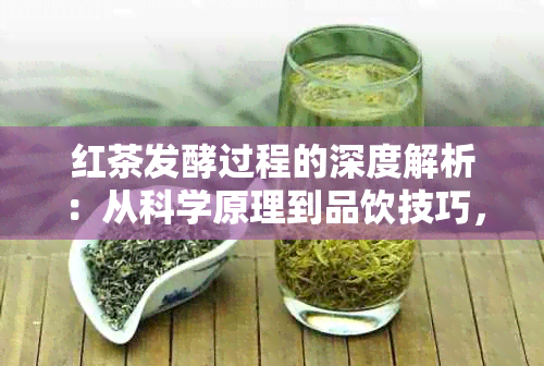 红茶发酵过程的深度解析：从科学原理到品饮技巧，全方位解答您的疑惑