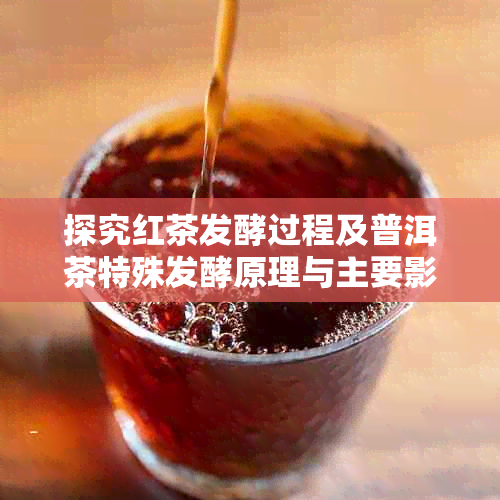 探究红茶发酵过程及普洱茶特殊发酵原理与主要影响因素