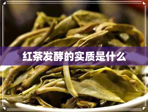 红茶发酵的实质是什么