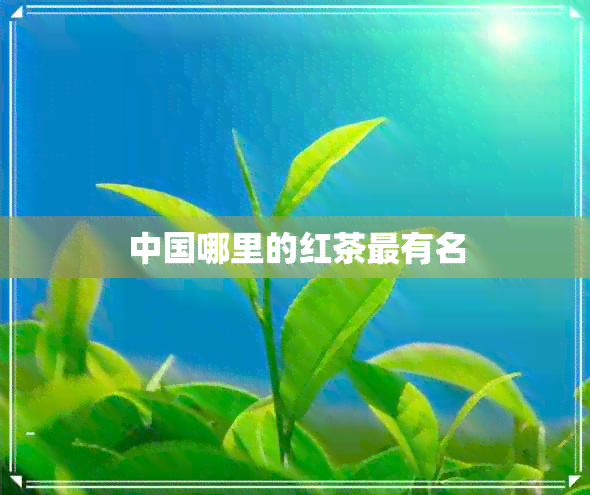 中国哪里的红茶最有名