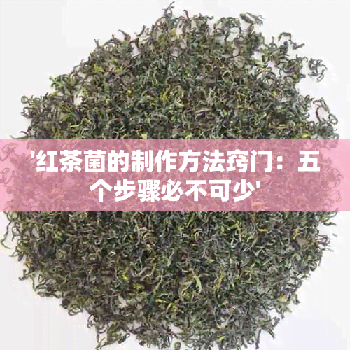 '红茶菌的制作方法窍门：五个步骤必不可少'