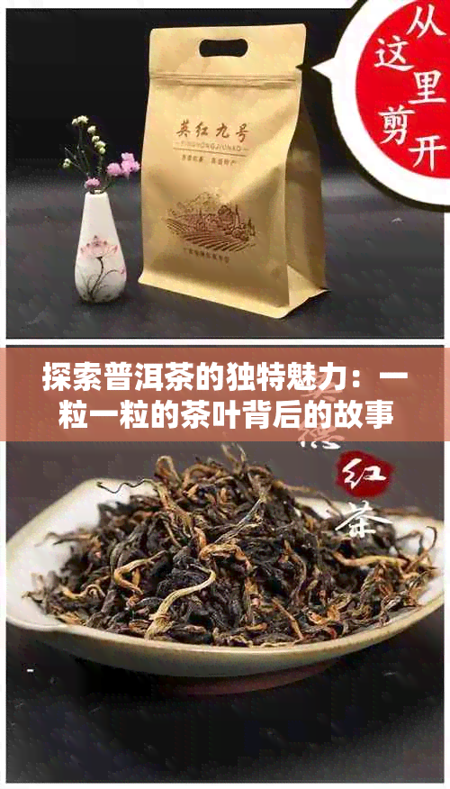 探索普洱茶的独特魅力：一粒一粒的茶叶背后的故事