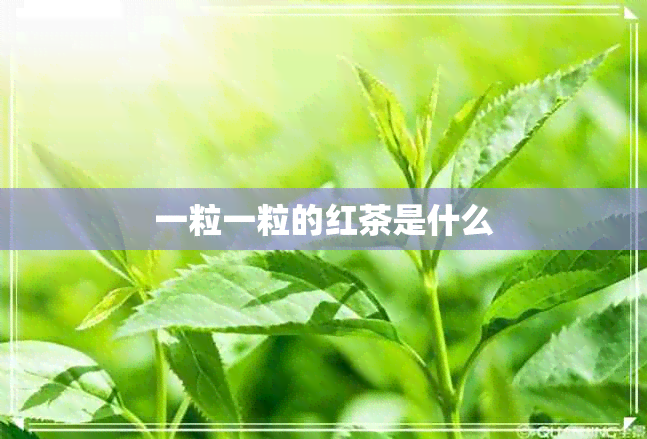 一粒一粒的红茶是什么