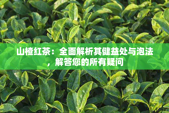 山楂红茶：全面解析其健益处与泡法，解答您的所有疑问