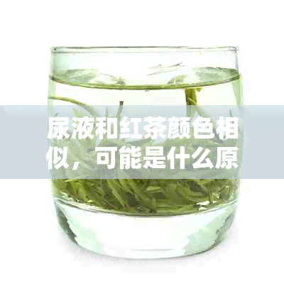 尿液和红茶颜色相似，可能是什么原因导致的？如何改善这种情况？