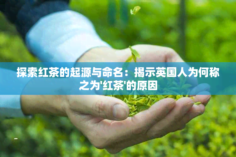 探索红茶的起源与命名：揭示英国人为何称之为'红茶'的原因