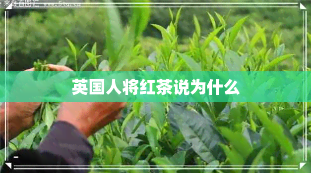 英国人将红茶说为什么