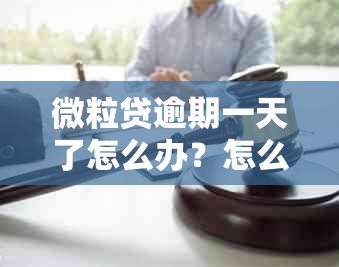 微粒贷逾期一天了怎么办？怎么办理？还能还款吗？有奖问答。