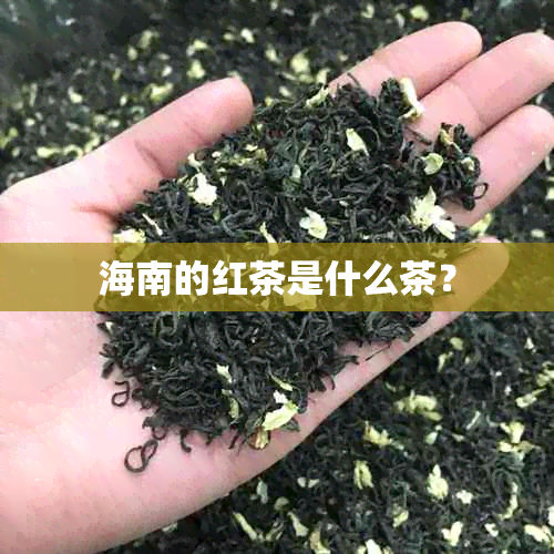 海南的红茶是什么茶？