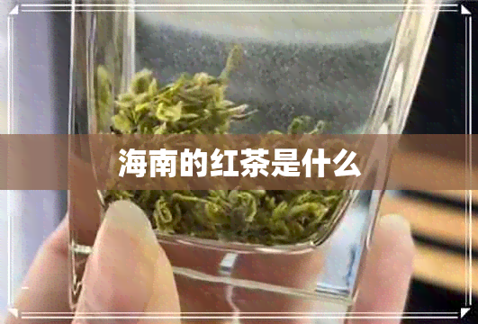 海南的红茶是什么