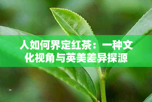 人如何界定红茶：一种文化视角与英美差异探源