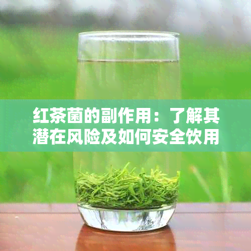 红茶菌的副作用：了解其潜在风险及如何安全饮用