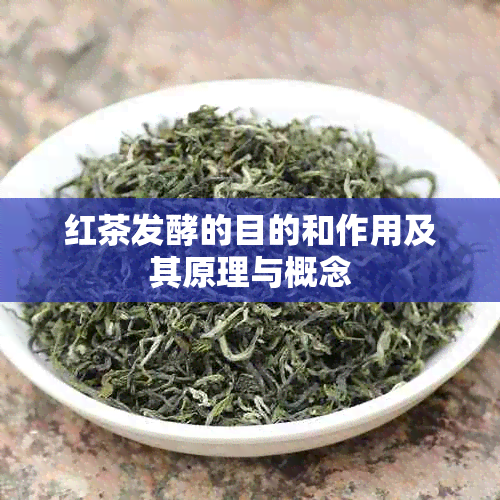 红茶发酵的目的和作用及其原理与概念