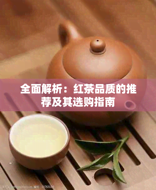 全面解析：红茶品质的推荐及其选购指南