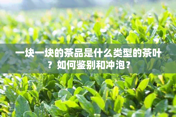 一块一块的茶品是什么类型的茶叶？如何鉴别和冲泡？