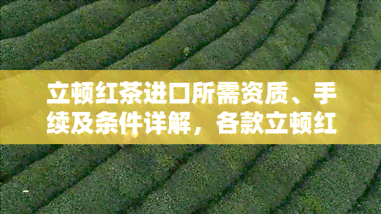 立顿红茶进口所需资质、手续及条件详解，各款立顿红茶区别解析