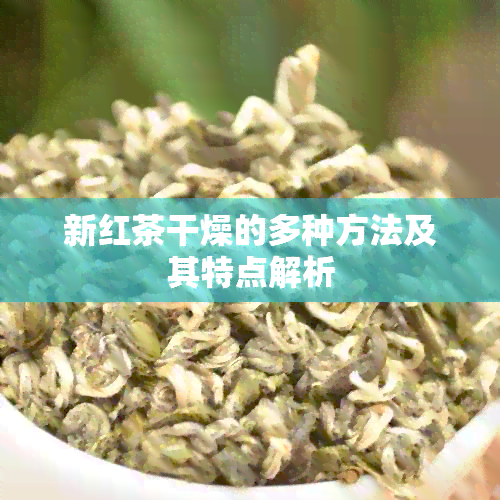 新红茶干燥的多种方法及其特点解析