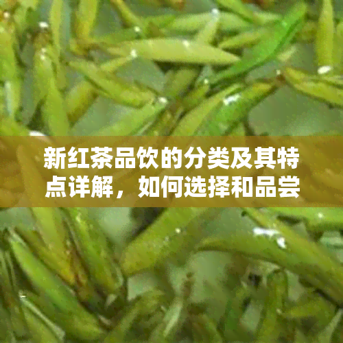 新红茶品饮的分类及其特点详解，如何选择和品尝红茶？