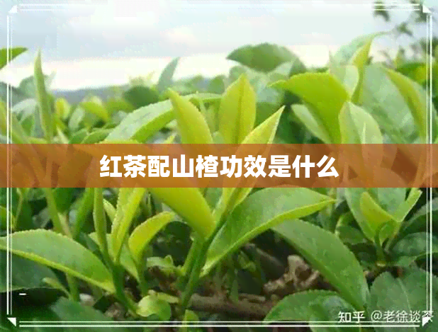 红茶配山楂功效是什么