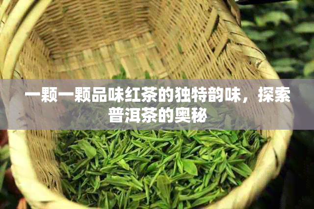 一颗一颗品味红茶的独特韵味，探索普洱茶的奥秘