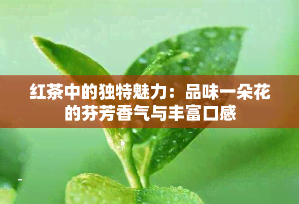 红茶中的独特魅力：品味一朵花的芬芳香气与丰富口感