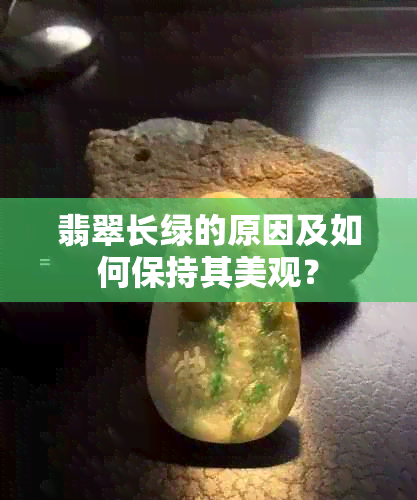 翡翠长绿的原因及如何保持其美观？