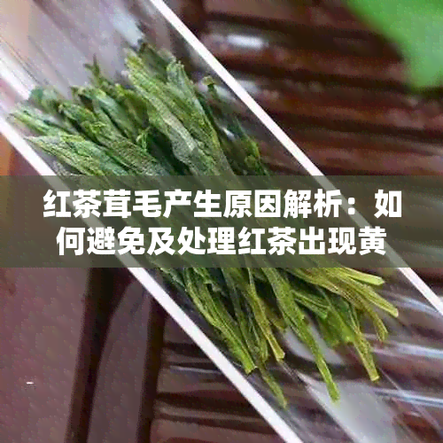 红茶茸毛产生原因解析：如何避免及处理红茶出现黄色茸毛？