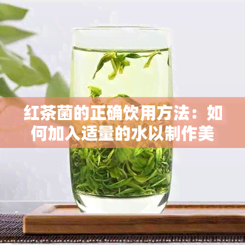 红茶菌的正确饮用方法：如何加入适量的水以制作美味的普洱茶