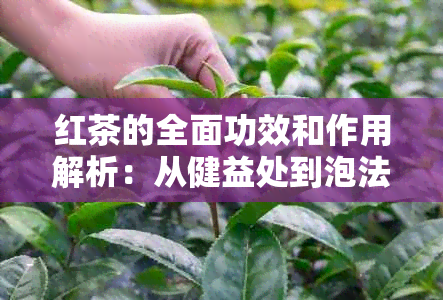 红茶的全面功效和作用解析：从健益处到泡法技巧，一文详解