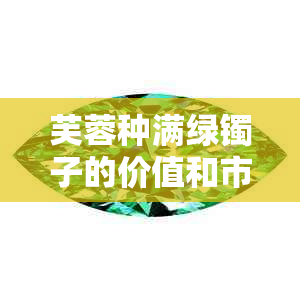 芙蓉种满绿镯子的价值和市场价格：全面解析与比较