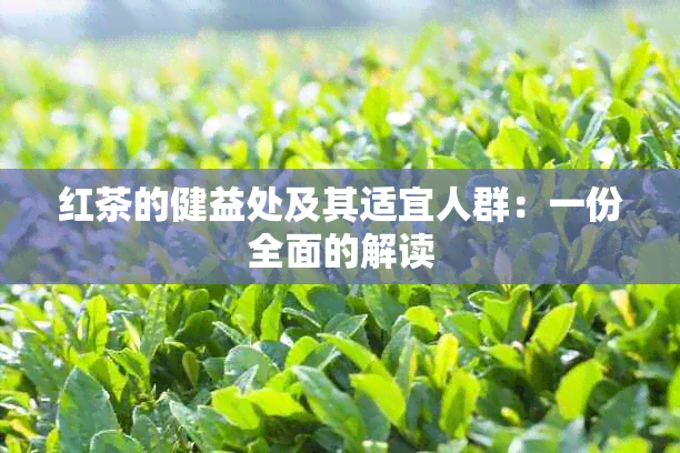 红茶的健益处及其适宜人群：一份全面的解读