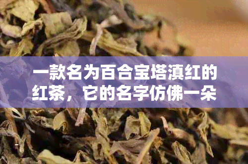 一款名为百合宝塔滇红的红茶，它的名字仿佛一朵开的花