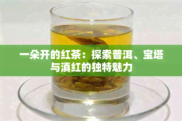 一朵开的红茶：探索普洱、宝塔与滇红的独特魅力