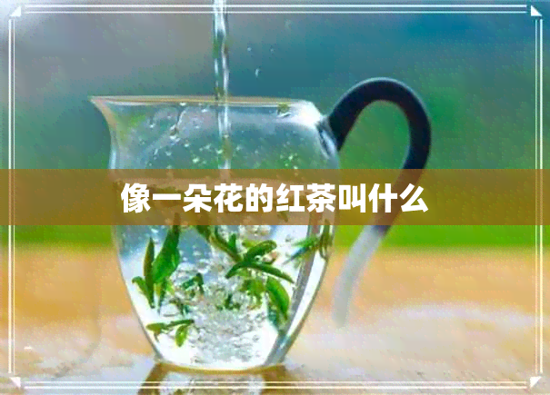 像一朵花的红茶叫什么