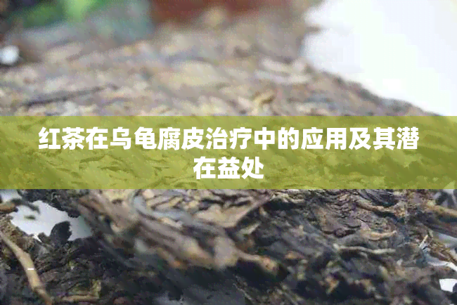 红茶在乌龟腐皮治疗中的应用及其潜在益处