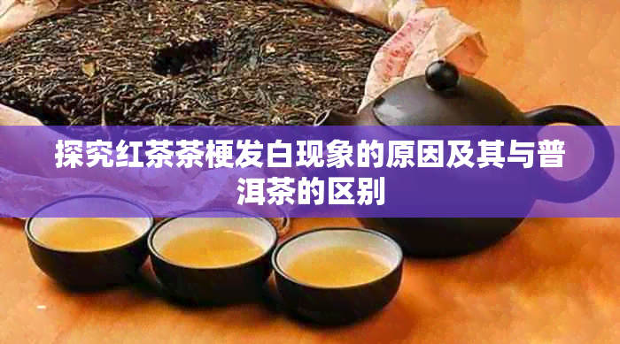 探究红茶茶梗发白现象的原因及其与普洱茶的区别