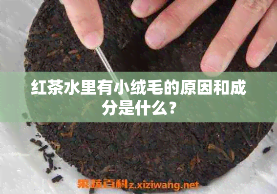 红茶水里有小绒毛的原因和成分是什么？