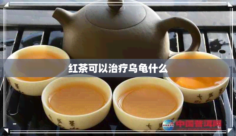 红茶可以治疗乌龟什么