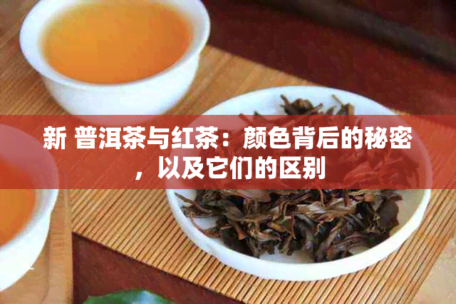 新 普洱茶与红茶：颜色背后的秘密，以及它们的区别