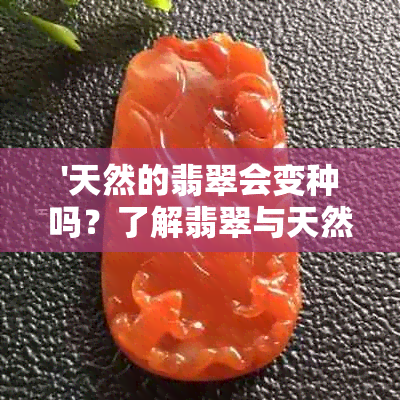 '天然的翡翠会变种吗？了解翡翠与天然翡翠的区别'