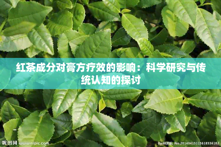 红茶成分对膏方疗效的影响：科学研究与传统认知的探讨