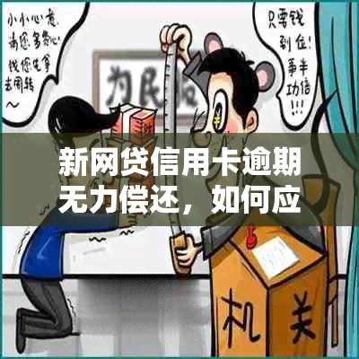 新网贷信用卡逾期无力偿还，如何应对全面困境？