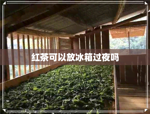 红茶可以放冰箱过夜吗