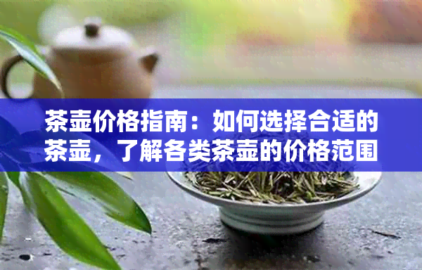 茶壶价格指南：如何选择合适的茶壶，了解各类茶壶的价格范围