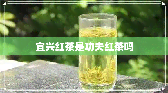 宜兴红茶是功夫红茶吗