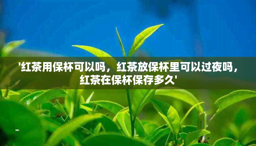 '红茶用保杯可以吗，红茶放保杯里可以过夜吗，红茶在保杯保存多久'